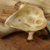 Holzschale Fichte // Wood bowl spruce